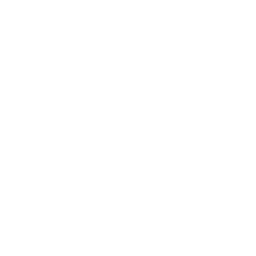 Bluetooth